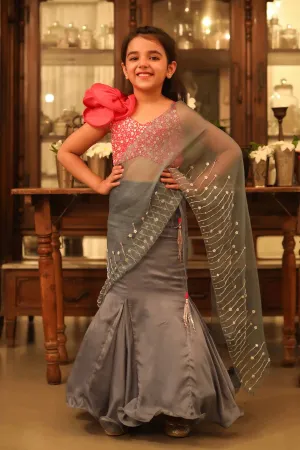Embroidered Saree